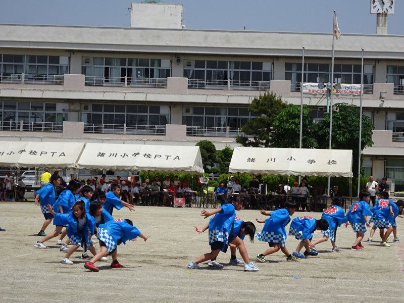DSC02684
